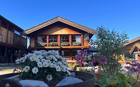 Måsåplassen Friisvegen Mountain Lodge